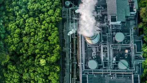Zu sehen sind Wald und eine Kläranlage, die nachhaltige Technologien und Greentech Unternehmen symbolisieren.